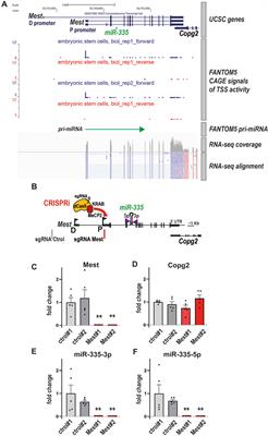 Functional mapping of microRNA promoters with dCas9 fused to transcriptional regulators